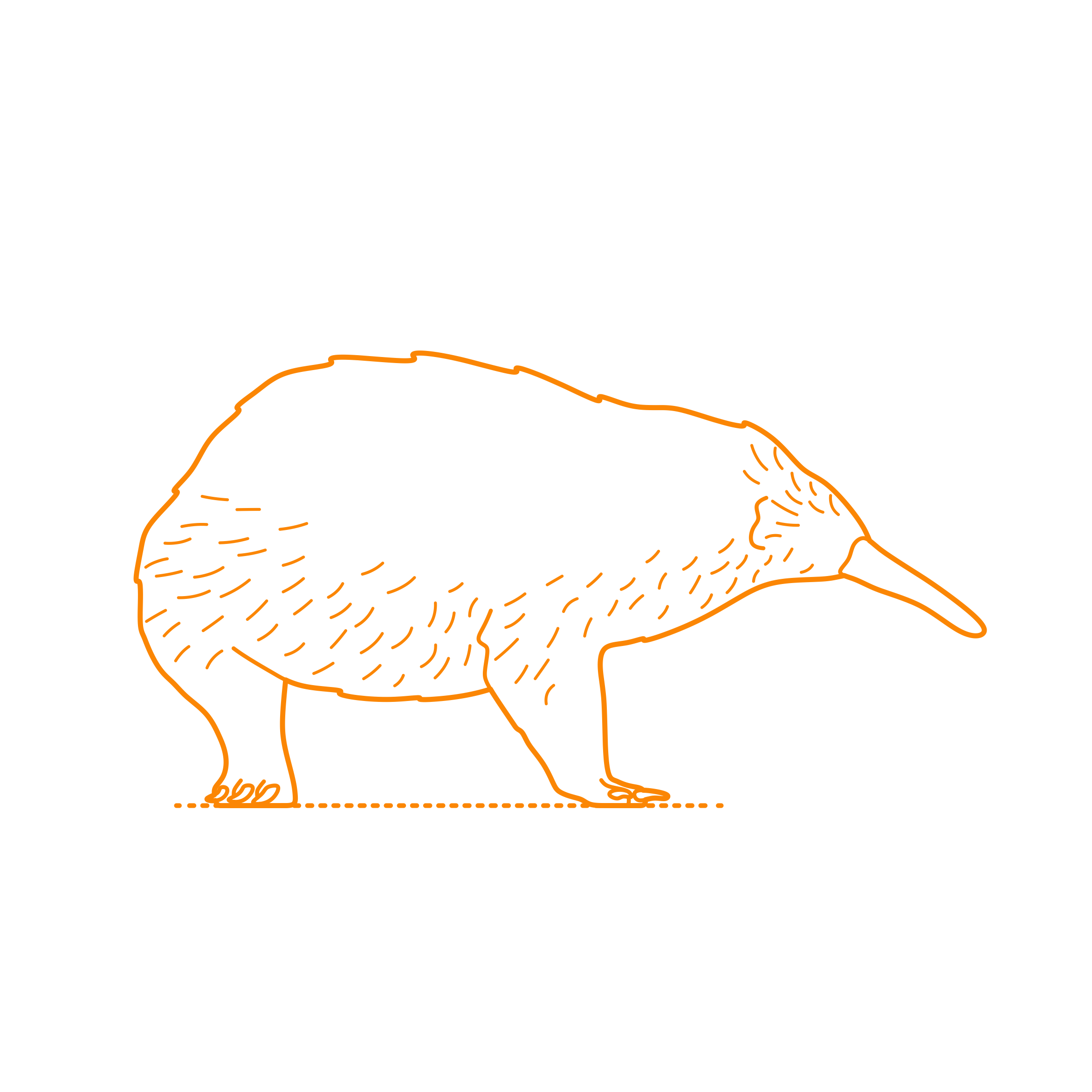 Animals Monotremes Eastern Long Beaked Echidna Tracing Svg Vector Free Vectors